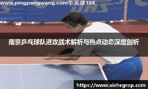 南京乒乓球队进攻战术解析与热点动态深度剖析